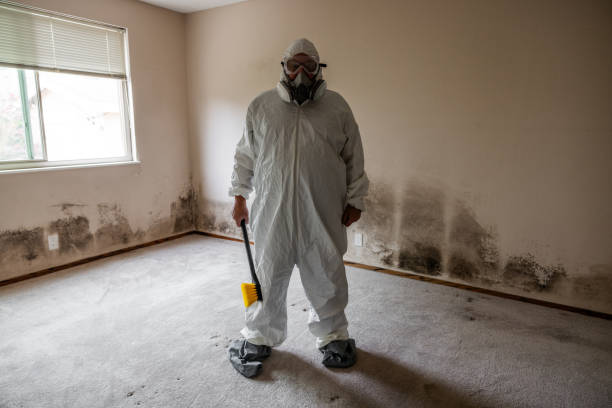 Best Mold Testing and Inspection Services in Cherryland, CA
